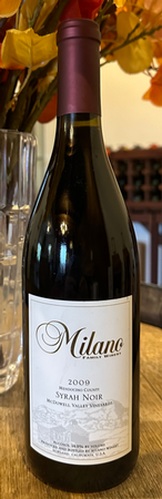 2009 Syrah Noir